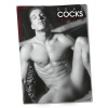 Afbeelding van Pin-up Kalender Real Cocks 2021 van het merk You2Toys