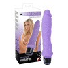 Afbeelding van Grote paarse vibrator siliconen van het merk You2Toys