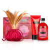 Afbeelding van Kamasutra Treasure Trove Strawberry Massageset van het merk KamaSutra