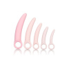 Afbeelding van Inspire Vaginisme Dildo Set - 5 Stuks van het merk Inspire