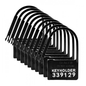 Afbeelding van Keyholder Kuisheidskooi Hangslotjes - 10 Stuks van het merk Master Series