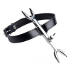 Afbeelding van Heretic's Fork - BDSM Halsband van het merk Strict Leather