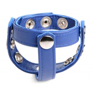 Afbeelding van Cock Gear Verstelbare Leren Cock en Balring Met Studs - Blauw van het merk Strict Leather