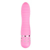 Afbeelding van Easytoys Mini Vibrator Geribbeld - Roze van het merk Easytoys Mini Vibe Collection