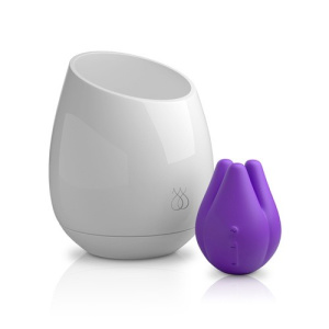 Afbeelding van JimmyJane Pure UV Reinigingslamp + Love Pod Tre van het merk JimmyJane