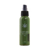 Afbeelding van Cannabis Massageolie - 100ml van het merk Pharmquests