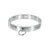 Afbeelding van Chrome Slave Collar - Medium/Large van het merk Master Series