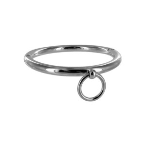 Afbeelding van Stalen halsband met ring van het merk Master Series