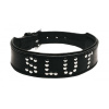 Afbeelding van Lederen Halsband Met 'Slut' Studs Design van het merk Strict Leather