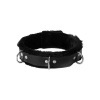 Afbeelding van Leren Gevoerde Halsband van het merk Strict Leather